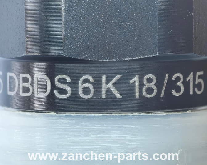 Rexroth R900423725 Pressure Rrelief Valve DBDS6K18/315